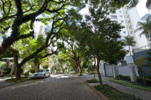 TRANQUILIDADE EM MEIO AO VERDE: O BAIRRO PETRÓPOLIS