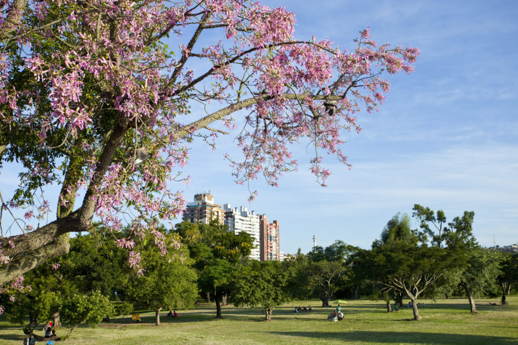 Parque Marinha