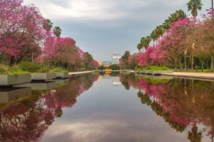 MORAR PERTO DA NATUREZA: 5 BAIRROS COM PARQUES EM PORTO ALEGRE