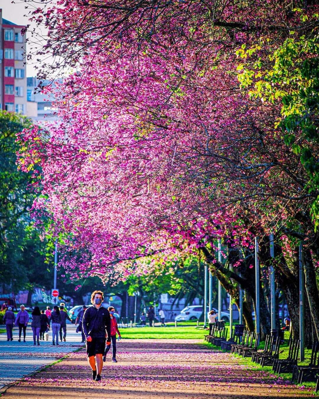 Redenção, bairro Bom Fim