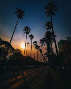 Bom Fim: Uma paixão que se renova