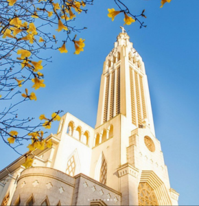 BAIRRO SÃO PELEGRINO –  LUGAR DE VIVER E EDIFICAR