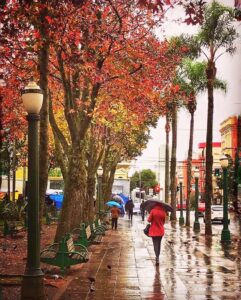 Bairro Centro: tradição e encontros em Caxias do Sul