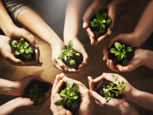 Construindo um futuro sustentável: Dicas para promover a sustentabilidade no seu condomínio